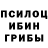 Псилоцибиновые грибы GOLDEN TEACHER itz_sharky