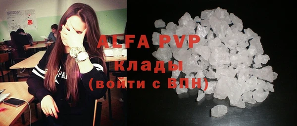 спиды Верея