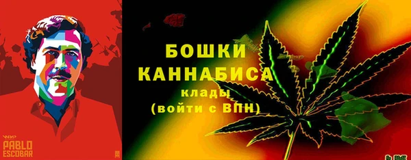спиды Верея