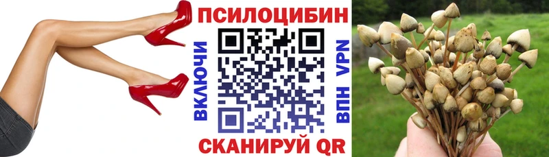 Купить закладки Среднеуральск Псилоцибиновые грибы мицелий